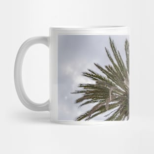 Palm tree silhouette against grey cloudy sky Mug